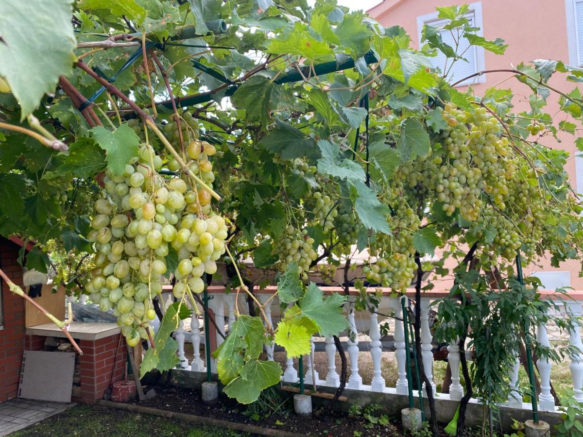 Apartments Galic Nin Εξωτερικό φωτογραφία